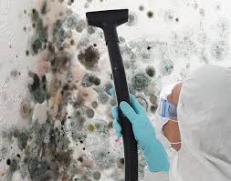 Professional Mold Prevention & Removal  in Victoria, TX